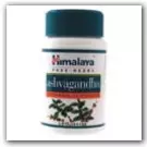 Ashwagandha-Rejuvenation