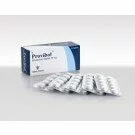 Provibol - Proviron - Mesterolone
