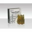 Testorapid - Testosterone Propionate 100mg/ml