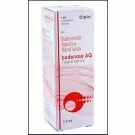 Rhinocort Nasal Spray