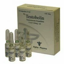 Testobolin - Testosterone Enanthat 250mg