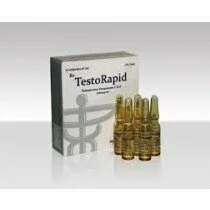 Testorapid - Testosterone Propionate 100mg/ml